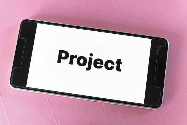 project management