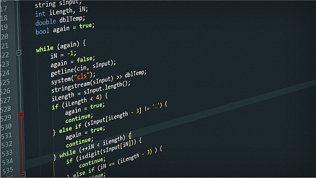 software development