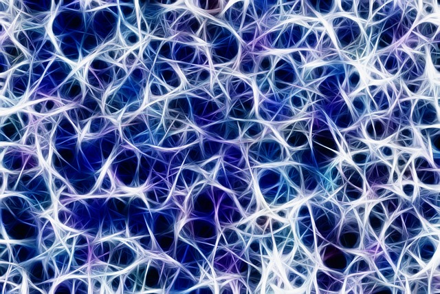 brain